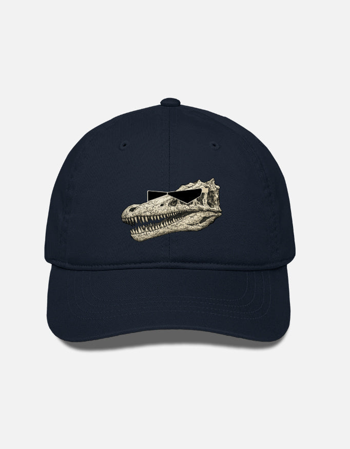 cap Navy Blue